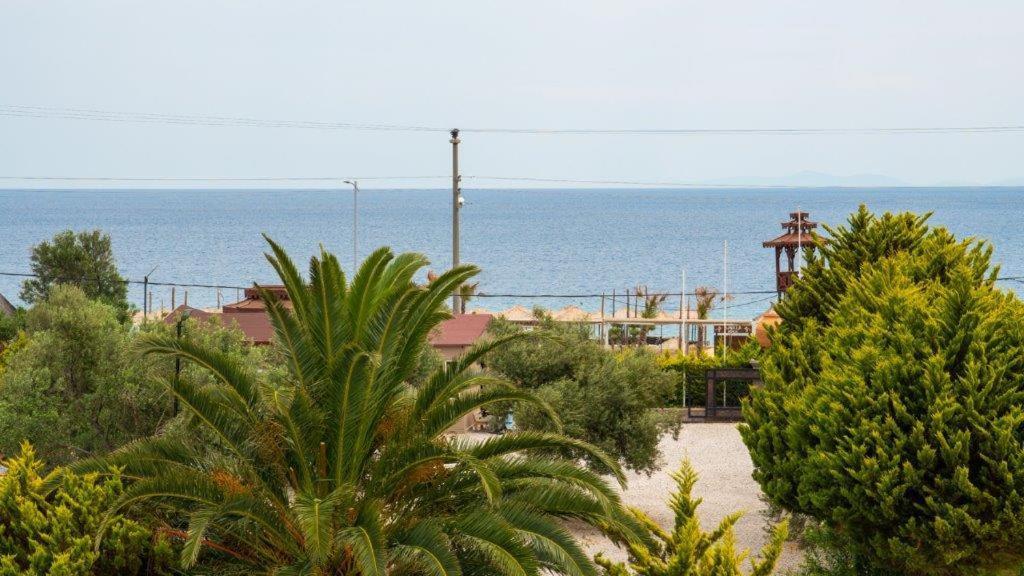 Club Kavala Beach Hotel Assos ภายนอก รูปภาพ